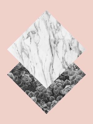 FOLHAS E ROSA V