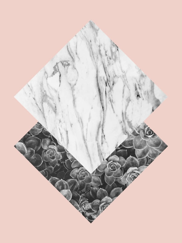 FOLHAS E ROSA V