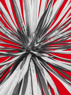 CACTO EXPRESSIONISTA II