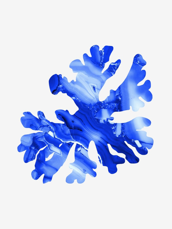 CORAL DE CRISTA I