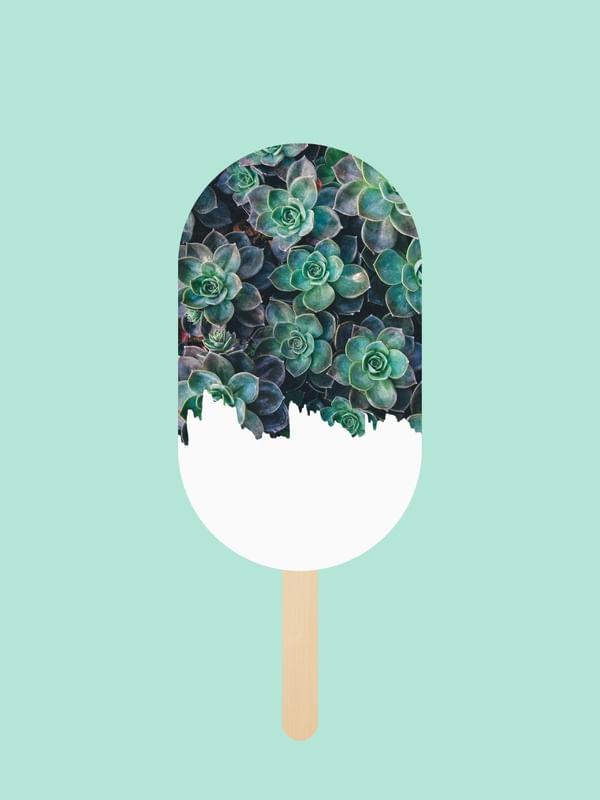 PICOLÉ DE CACTOS