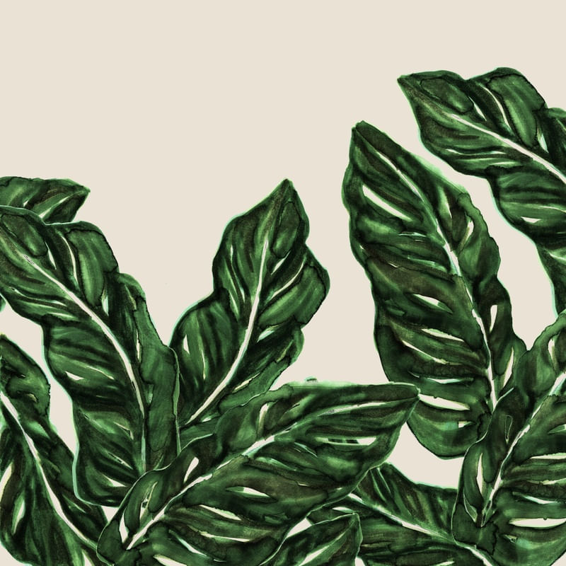 BANANA LEAF 1, GREEN