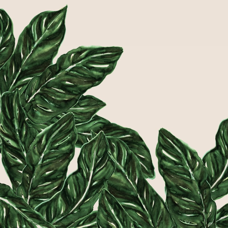 BANANA LEAF 2, GREEN