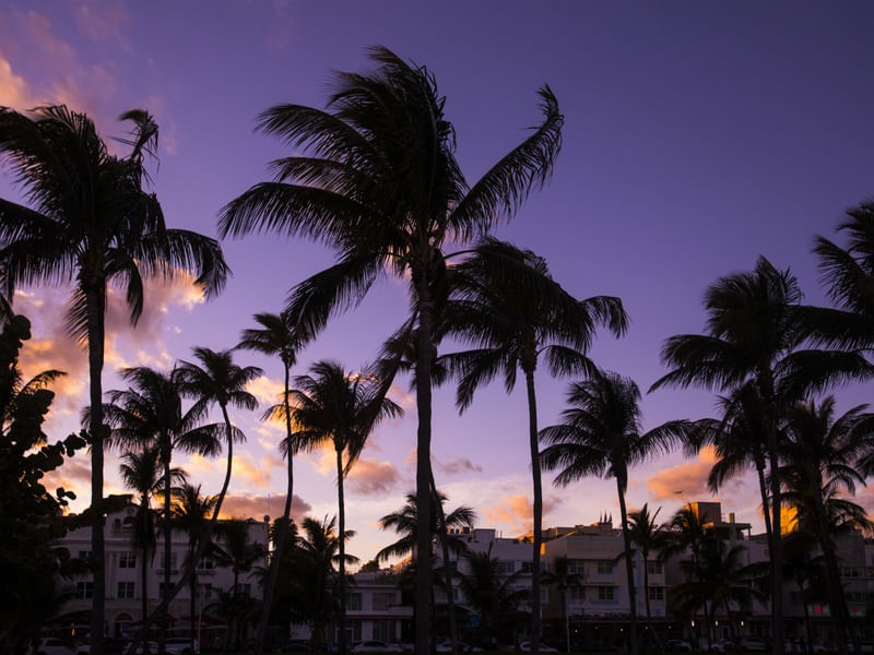 OCEAN DRIVE