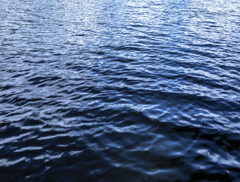 RIO SÃO FRANCISCO