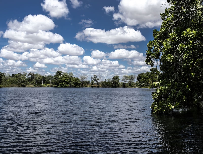 LAGO