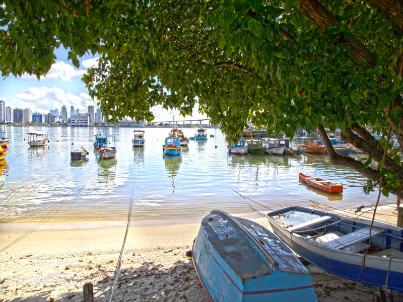 PAISAGEM MARÍTIMA TOTAL