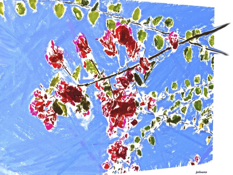AQUARELA BRASILEIRA