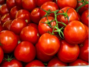 TOMATES