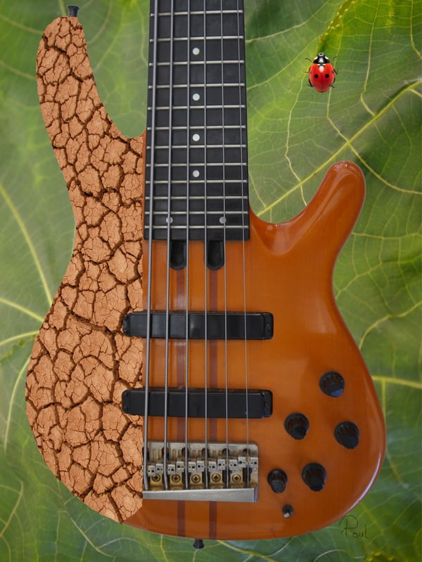 BASS