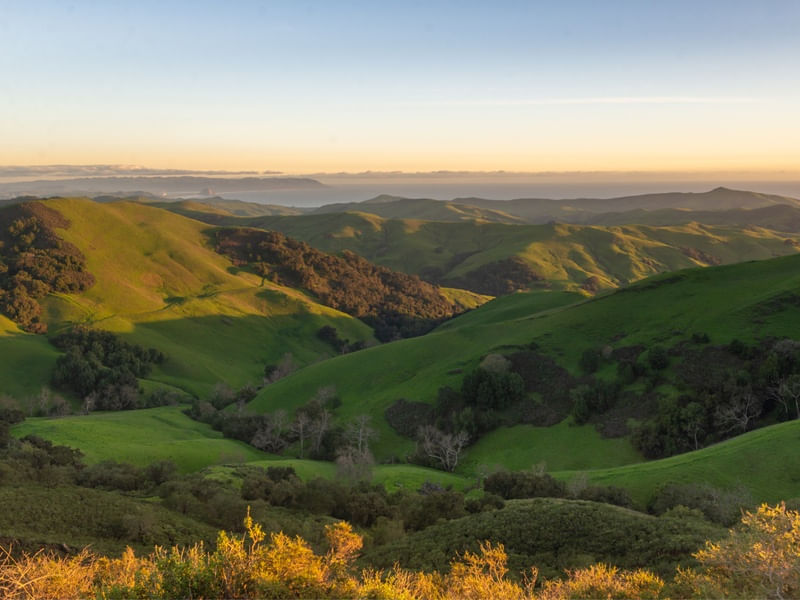 SANTA YNES VALLEY