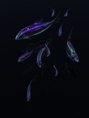 GLASS FISH