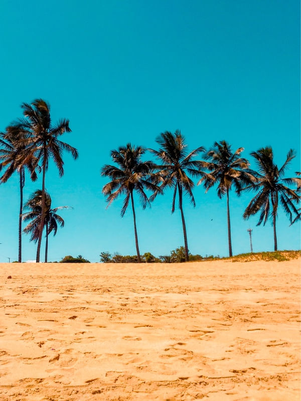 ILHA PARADISÍACA