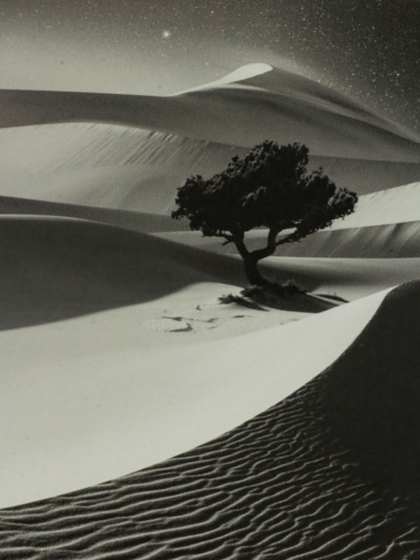 THE TREE