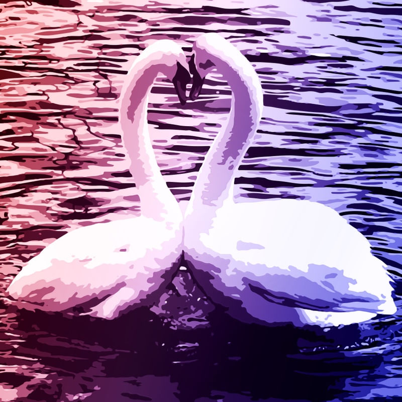 EVERYTHING OF LOVE
