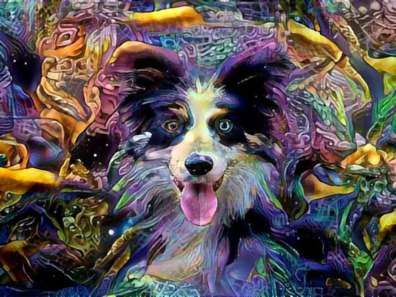 TRIPPY DOG