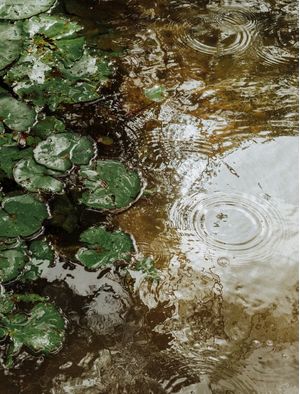 BRASIL, VERDE E AMARELO 01