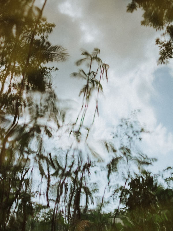 REFLEXOS EM AZUL E VERDE 02