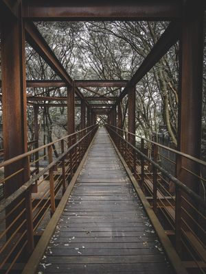 SECRET PATHWAY (2)