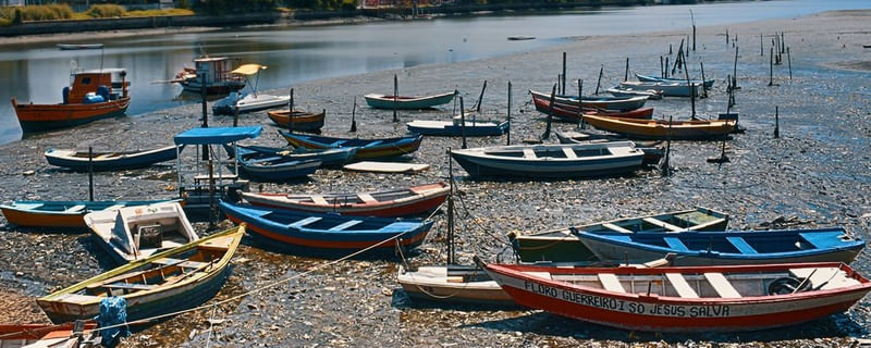 OS BARCOS
