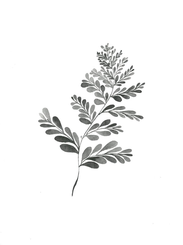 SILHUETA PRETO E BRANCO II