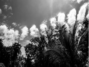 NU VEM... MORAR NO CÉU