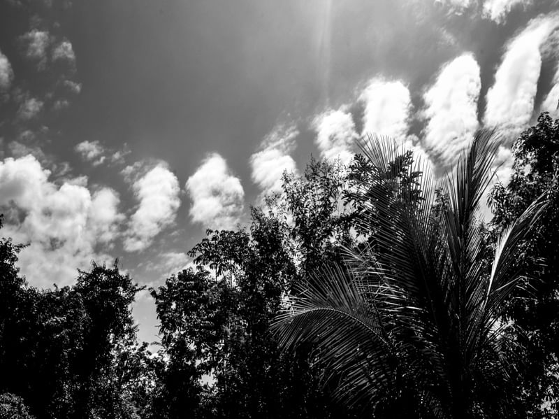 NU VEM... MORAR NO CÉU