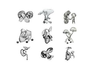 FUNGHI
