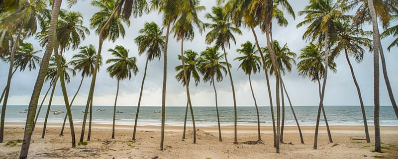 PRAIA DE ZUMBI