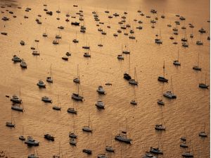 GOLDEN SEA