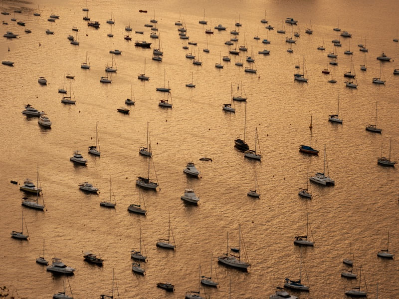 GOLDEN SEA