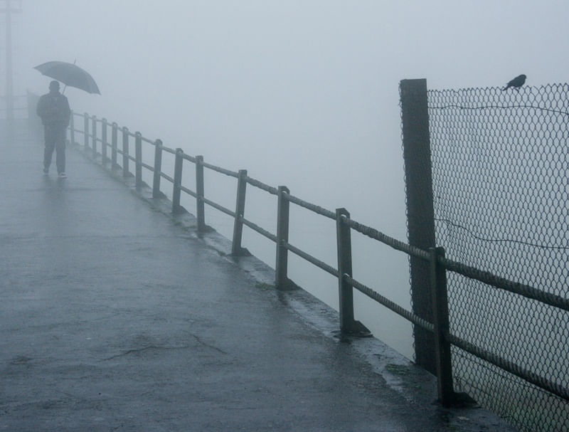 SOLITARY FOG
