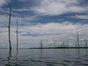 REPRESA NATUREZA