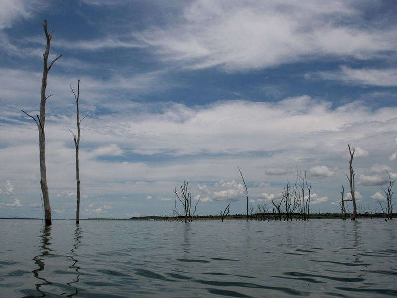 REPRESA NATUREZA