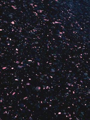 DARK SHORE