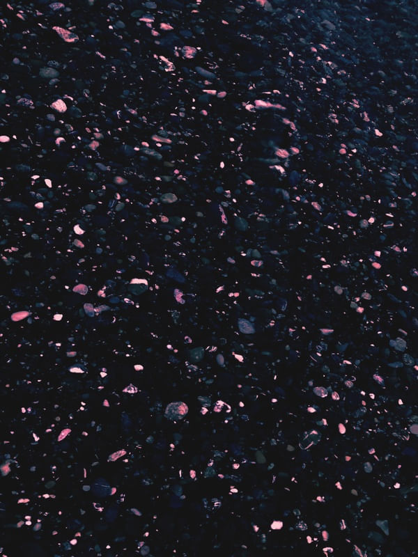 DARK SHORE