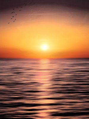 PORDOSOL