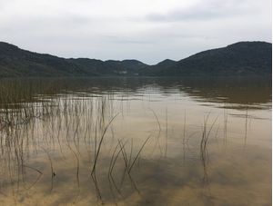 LAKE2