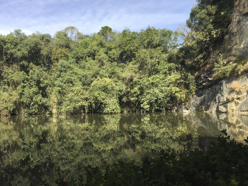 THE LAKE 2