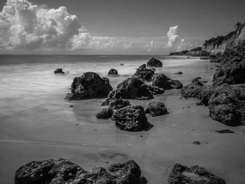 PRAIA DE CARAÚBAS NIGRI