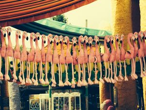 FLAMINGO POUCO É BOBAGEM