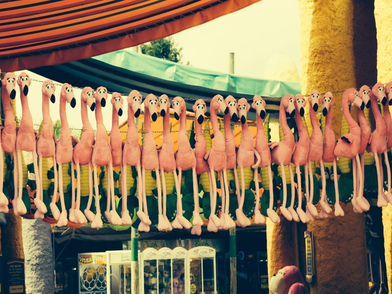 FLAMINGO POUCO É BOBAGEM