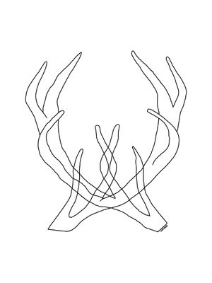 CROSSED HORNS