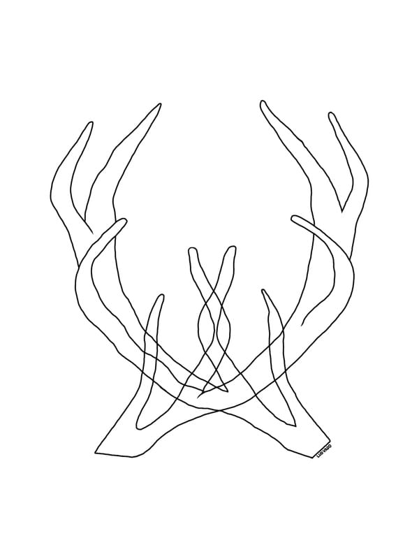 CROSSED HORNS