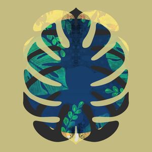 MONSTERA GOLD 039 B SQ