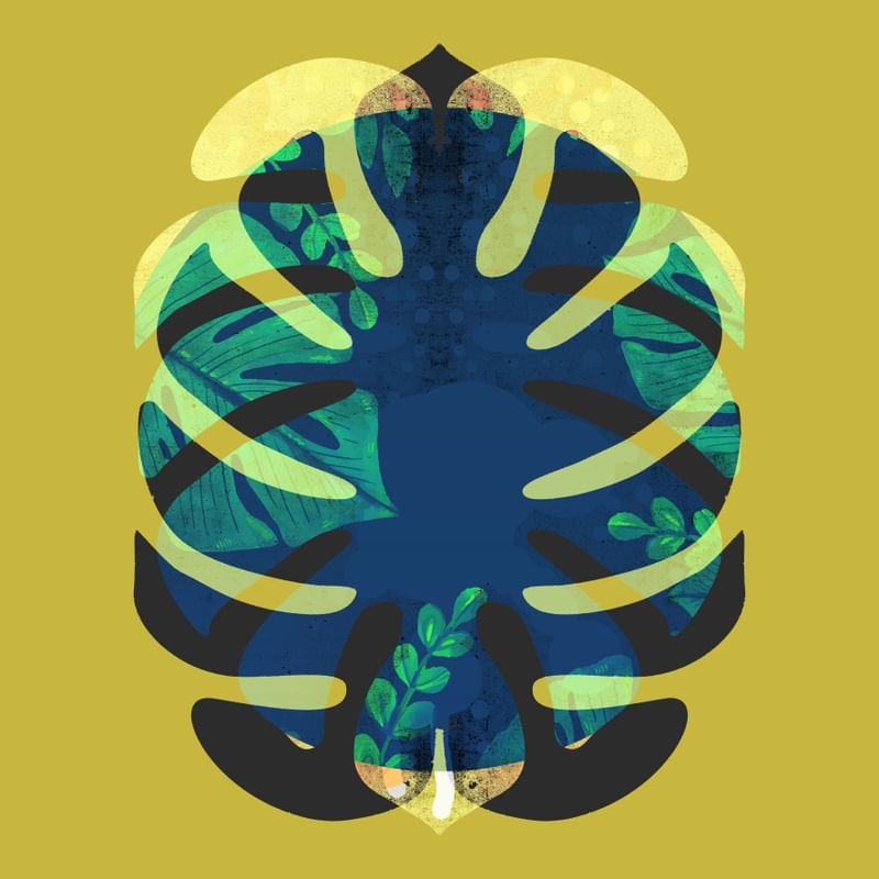 MONSTERA GOLD 039 C SQ.JPG