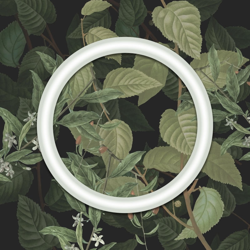 CÍRCULO FLORESTA 001