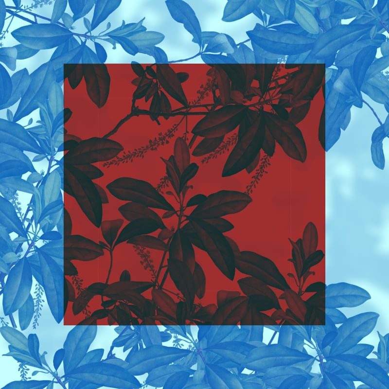 JARDIM JAPONÊS