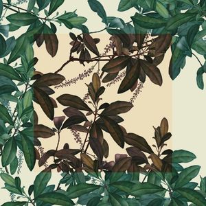 FLORESTA EM MOLDURA - OUTONO E VERÃO