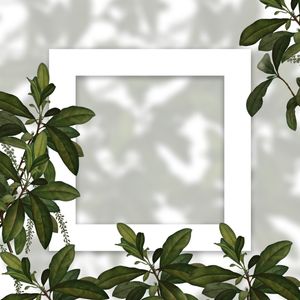 QUADRO EM BRANCO COM FOLHAS